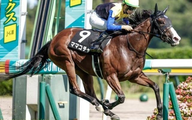 【ターコイズS予想オッズ】ソダシの全妹ママコチャが予想1番人気