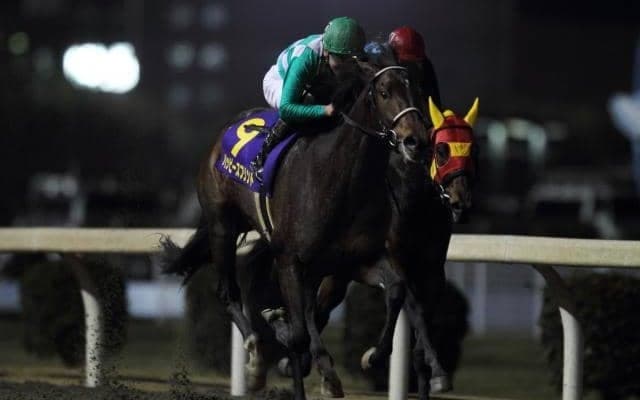 北の大地に悲願のタイトル 2013年覇者ハッピースプリント/全日本2歳優駿プレイバック