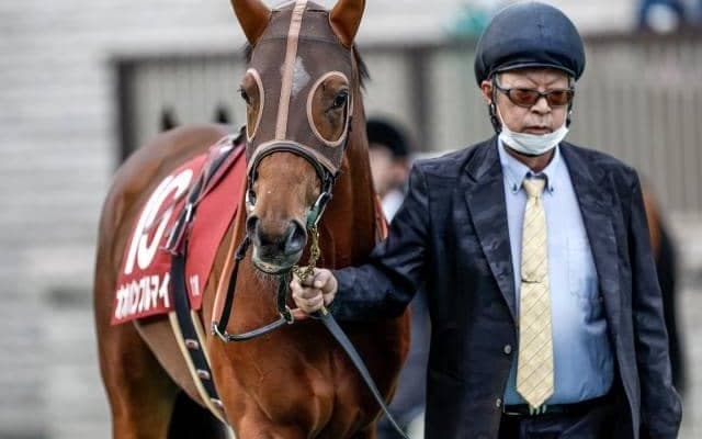 【朝日杯FS展望】2歳マイル王決定戦、前走1着馬が活躍する
