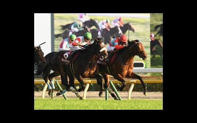 まったく予想がつかない２歳王者争い。稀に見る大混戦の「２歳牡馬ランキング」