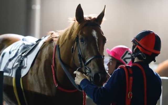 森泰斗騎手の負傷により全日本2歳優駿ヒーローコールの鞍上は笹川翼騎手に