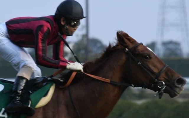 ダート転向を果たした重賞馬が芝重賞に再挑戦