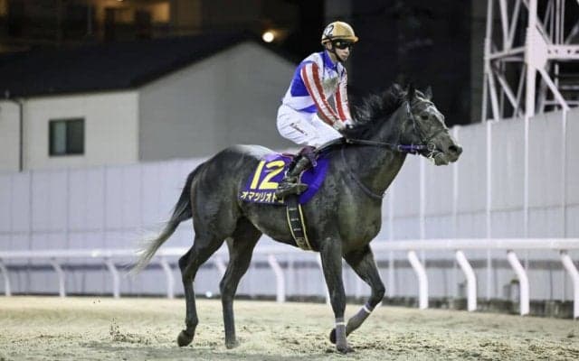 【全日本2歳優駿】横山武「左回りが得意そうではない」オマツリオトコは惜しい2着