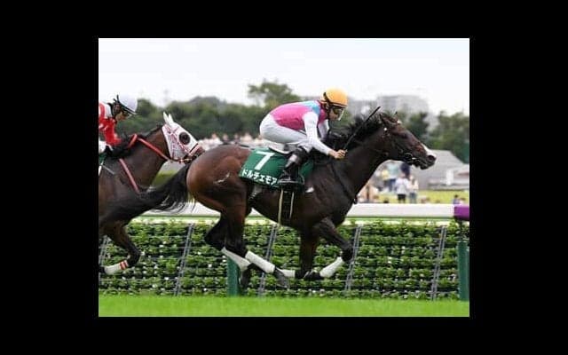 朝日杯FSはディープインパクトとルーラーシップの血が共通する２頭を狙う。勝利した前走も関連性大