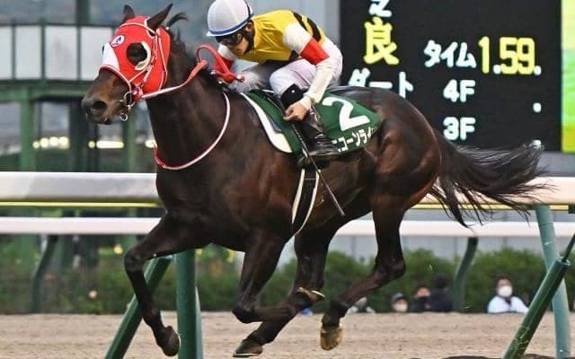 ユニコーンライオンは大阪杯が目標 前哨戦として京都記念か金鯱賞へ