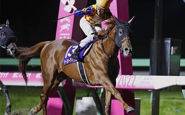 JBCクラシック覇者のテーオーケインズ 復帰戦候補にサウジCなど