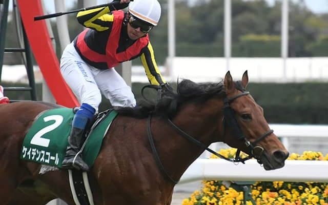 2019年NHKマイルCで激走した重賞3勝馬が引退 今後は岡山県で乗馬に