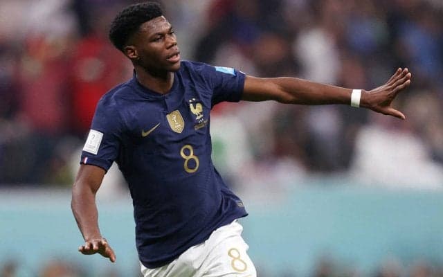 「爆笑」「この写真は一体何!?」W杯連覇に王手のフランス代表、若手MFが笑顔で宙吊りにされる謎の写真が大反響「幸せ過ぎる」