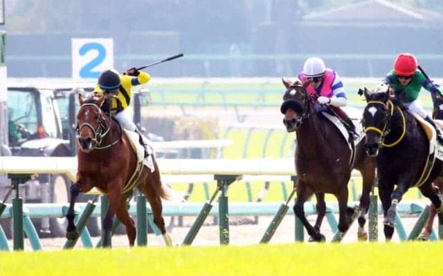 【新馬/中山5R】ハービンジャー産駒 ラテラルシンキングがデビューV