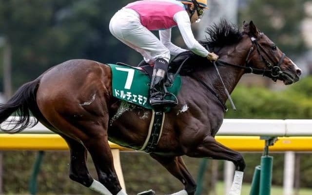 【朝日杯FS枠順確定】ダノンタッチダウンは6枠12番、ドルチェモアは1枠2番