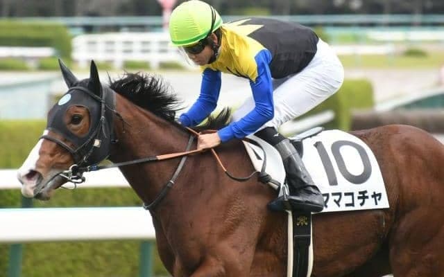 【ターコイズS枠順確定】ママコチャは1枠2番、ミスニューヨークは7枠13番