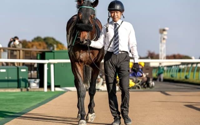 【次走】ペリエールはヒヤシンスS参戦を視野 全日本2歳優駿では1番人気3着