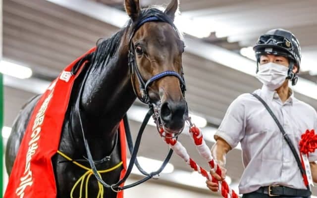 【次走】新潟2歳S覇者キタウイングは状態次第でフェアリーSへ 阪神JFでは14着