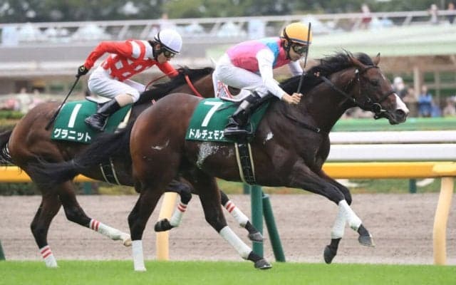 【朝日杯FS】ドルチェモアは1枠2番