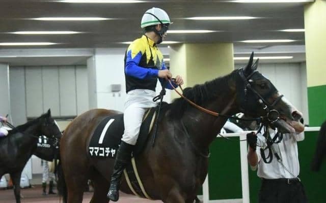 【今日の注目ポイント】中山で牝馬のハンデ重賞ターコイズS