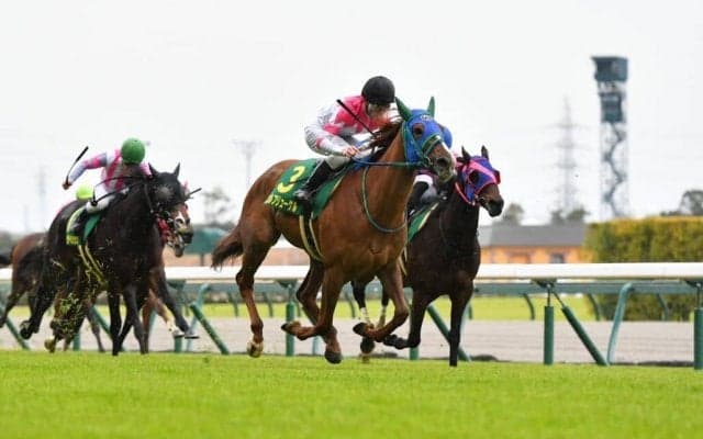 【2022YJSファイナルラウンド中京1戦】小林凌大がYJSファイナルラウンド3連勝で首位