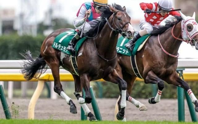 【朝日杯FS前日オッズ】ドルチェモアが3.9倍で1番人気