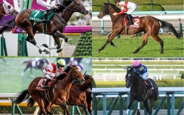 【朝日杯FS】有力馬4頭を競馬ファン1万人がジャッジ！ 最も支持された馬は？