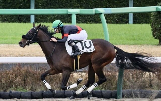 【新馬/中山6R】ロードカナロア産駒 アフトクラーティラがデビューV