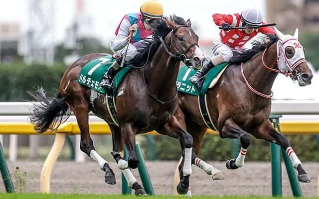 【朝日杯FS】ドルチェモアが人気3頭の接戦を制し無傷3連勝