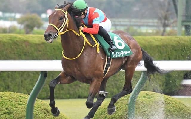 重賞5勝の古豪が競走馬登録を抹消 今後は馬事公苑で乗馬に