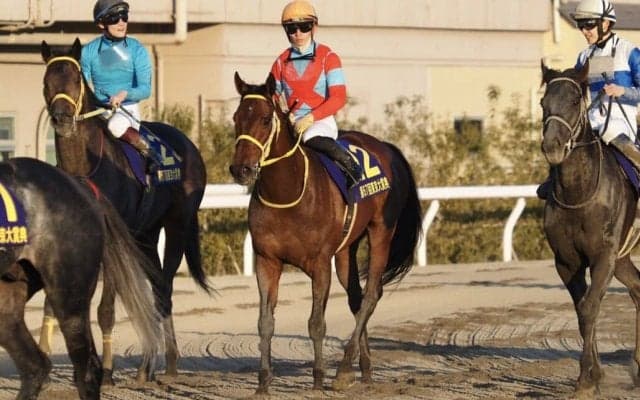 クリンチャーが競走馬登録抹消