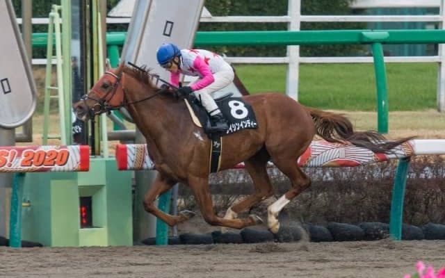 12月18日の競走除外、疾病等の一覧 中山4Rで2頭が競走中止/中山・阪神・中京