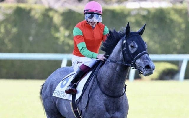 【新馬/阪神5R】ゴールドシップ産駒 マイネルラウレアが直線一気で差しきる