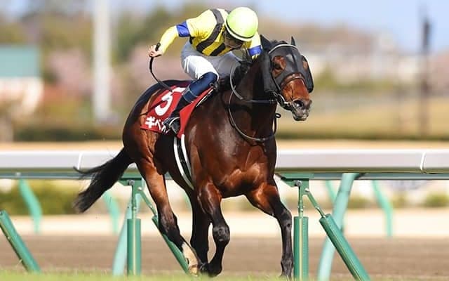金鯱賞など重賞2勝のギベオンが競走馬登録を抹消 社台ファームで乗馬に