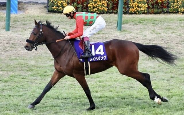 【朝日杯FS】横山武「キャリア2戦目ですごい馬」レース後ジョッキーコメント