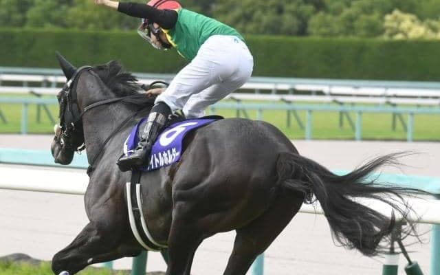 【有馬記念見どころ】ファン投票1位タイトルホルダーの春秋グランプリ連覇なるか