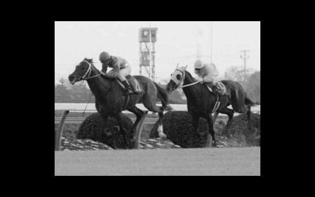 ウマ娘でも「皇帝」と呼ばれるシンボリルドルフ。豪華な３強対決も圧勝した有馬記念の伝説の走り