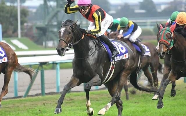 エリザベス女王杯でGI初制覇の良血牝馬、母仔有馬制覇の快挙へ