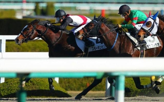 【阪神2R】武豊 スモーキンビリーが初勝利