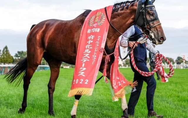 府中牝馬Sでは白毛の女王に勝利 暮れの大一番でも波乱を起こせるか