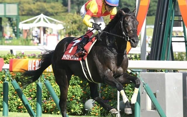 【AI予想・有馬記念】波乱の使者は3歳馬!? カギとなるのは世代レベルか