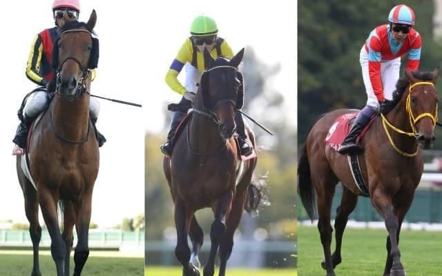 クリンチャー、ギベオン、ケイデンスコールらがJRA登録を抹消