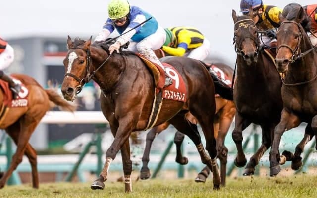 かつてコントレイルを追い詰めた良血馬 武豊騎手とのコンビで巻き返し誓う