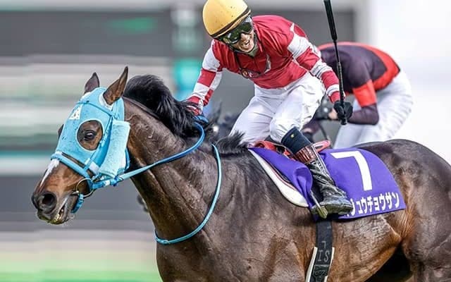 【中山大障害想定騎手】障害GI・10勝目を狙うオジュウチョウサンは石神深一騎手、今年の東京HJ覇者ゼノヴァースは森一馬騎手