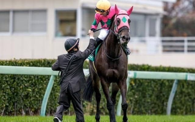 ミスニューヨークが連覇達成 時計の掛かる馬場に強いキングズベストの血が輝く