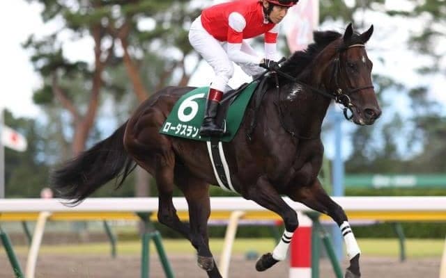 【阪神C展望】1番人気が苦戦傾向の一戦、好走の条件とは