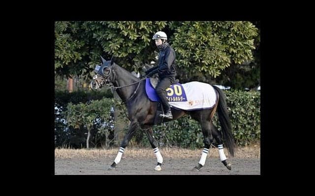 有馬記念でタイトルホルダーの大逃げは見られるのか。凱旋門賞惨敗の影響を探る