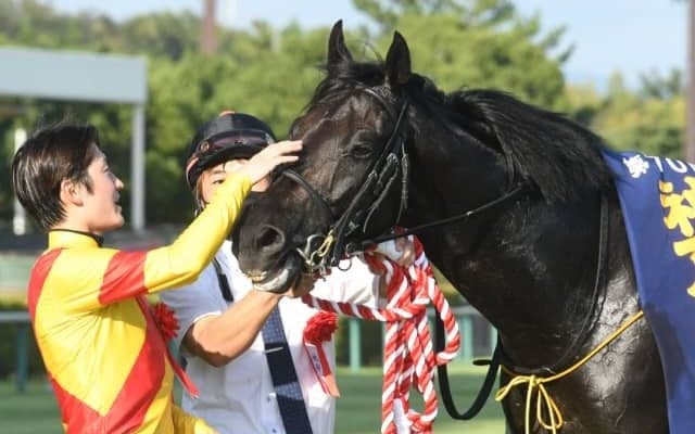 【有馬記念】今秋本格化の3歳馬ジャスティンパレス グランプリタイトル獲得なるか