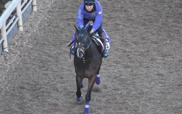 ディヴィーナなど、先週の入厩情報/栗東トレセンニュース