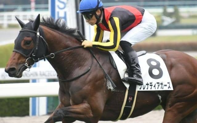 【阪神C予想オッズ】グレナディアガーズが予想1番人気