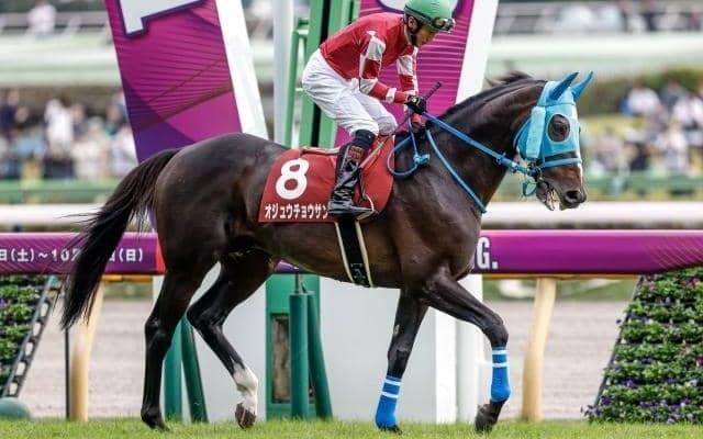 【中山大障害予想オッズ】オジュウチョウサンが予想1番人気