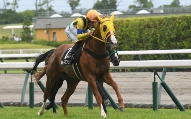 【有馬記念展望】GI馬が多数参戦も、重賞未勝利馬の初戴冠に期待したい