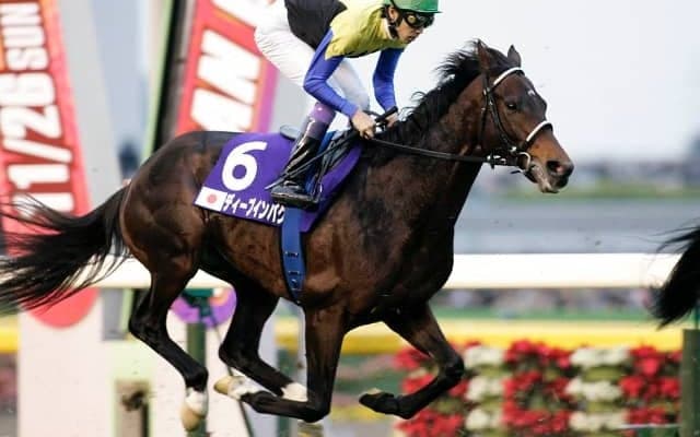 海外競馬メディア『TDN』の一面にディープインパクト関連のニュースが掲載