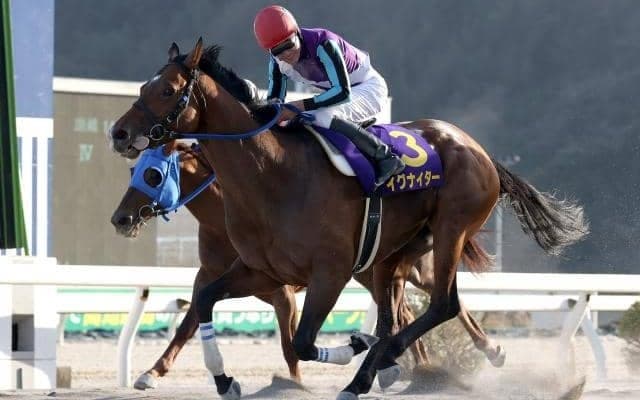 【兵庫ゴールドT注目馬】ダート短距離戦線を締めくくるJpnIIIに「兵庫の雄」イグナイター登場