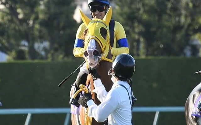 福永騎手ラスト有馬記念のパートナーに注目 6戦連続上がり最速の末脚自慢